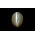 3.06 cts Natural Cats Eye (Lehsunia)