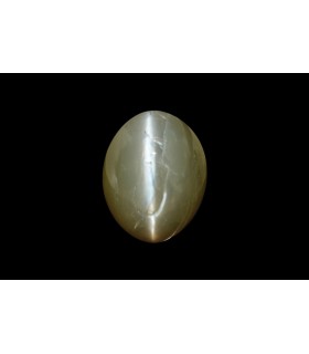 3.06 cts Natural Cats Eye (Lehsunia)