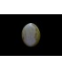 3.06 cts Natural Cats Eye - Lehsunia (SKU:90152580)