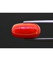 8.67 cts Natural Coral (Moonga)