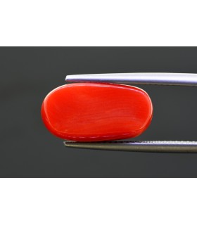 8.67 cts Natural Coral - Moonga (SKU:90152924)