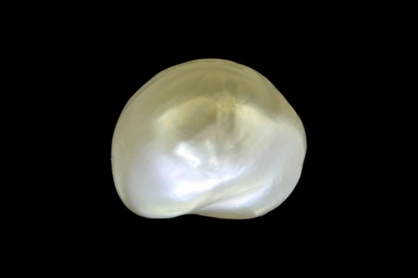 3.13 cts Natural Pearl (Moti)