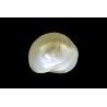 3.13 cts Natural Pearl (Moti)