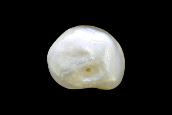3.13 cts Natural Pearl (Moti)