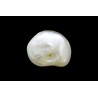 3.13 cts Natural Pearl (Moti)