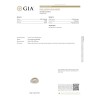 Gemological Institute of America Report for 3.13 cts Natural Pearl (Moti)