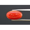 3.98 cts Natural Coral (Moonga)