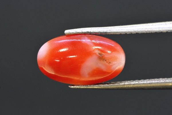 3.98 cts Natural Coral (Moonga)