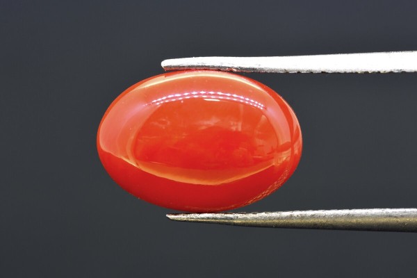 4.28 cts Natural Coral (Moonga)