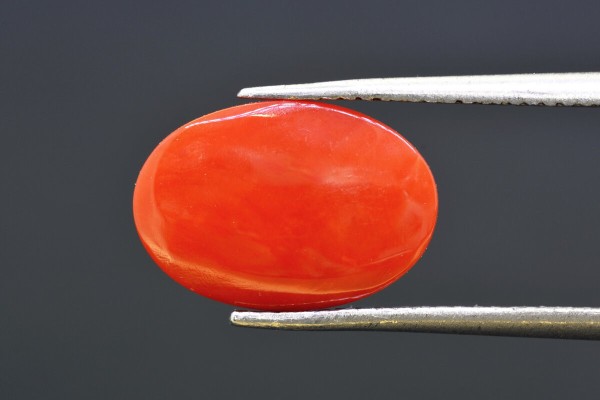 4.28 cts Natural Coral (Moonga)