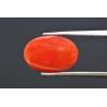 4.28 cts Natural Coral (Moonga)