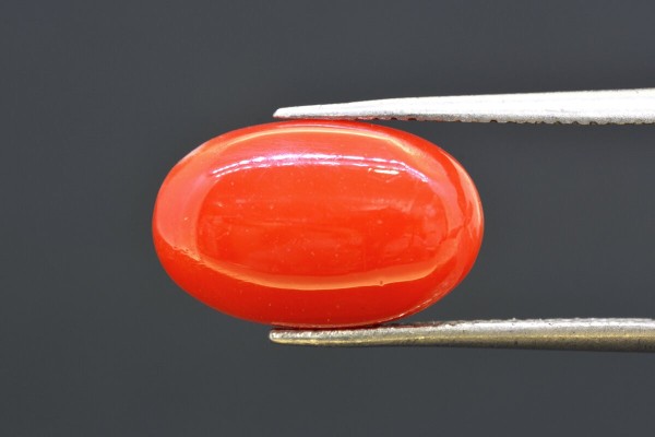 6.94 cts Natural Coral (Moonga)