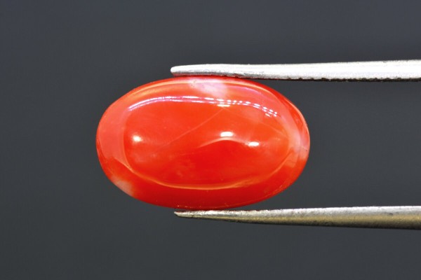 6.94 cts Natural Coral (Moonga)
