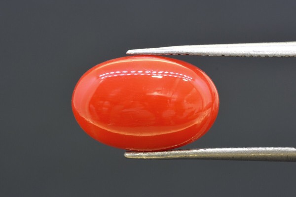 6.15 cts Natural Coral (Moonga)