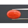 6.15 cts Natural Coral (Moonga)