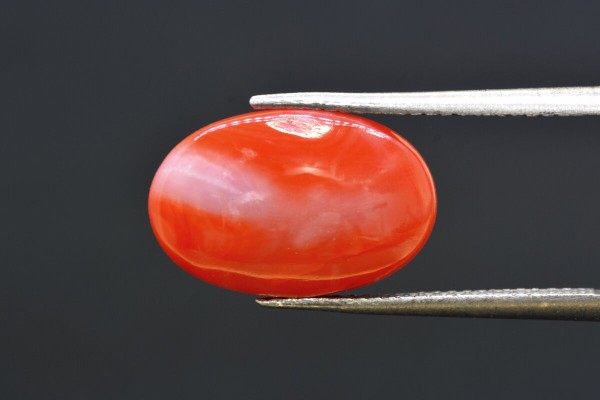 6.15 cts Natural Coral (Moonga)
