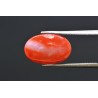 6.15 cts Natural Coral (Moonga)