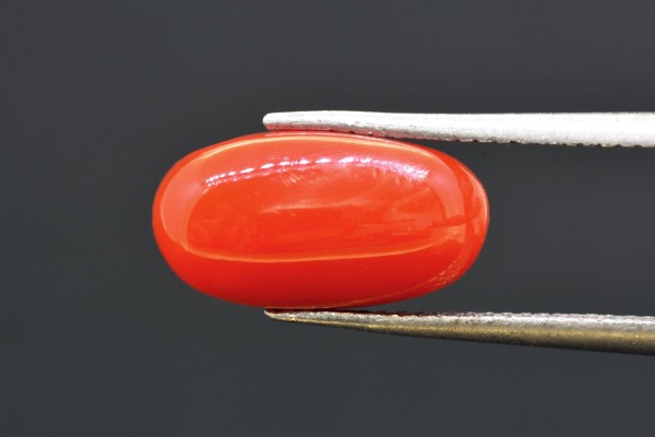 5.59 cts Natural Coral (Moonga)