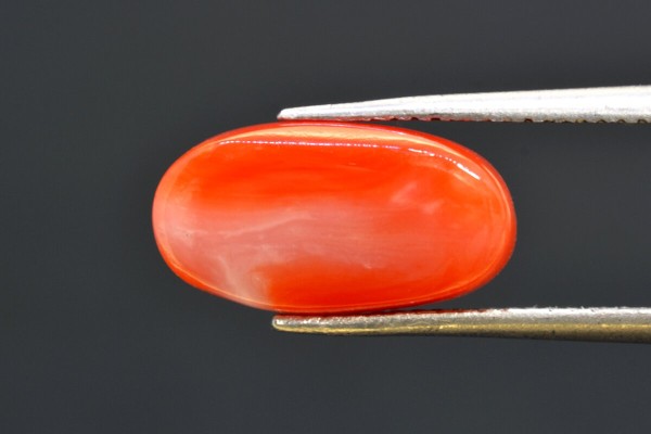 5.59 cts Natural Coral (Moonga)
