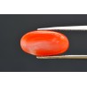 5.59 cts Natural Coral (Moonga)