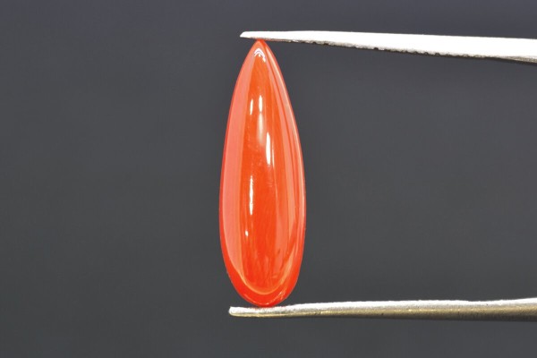 3.57 cts Natural Coral (Moonga)