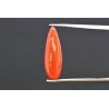 3.57 cts Natural Coral (Moonga)