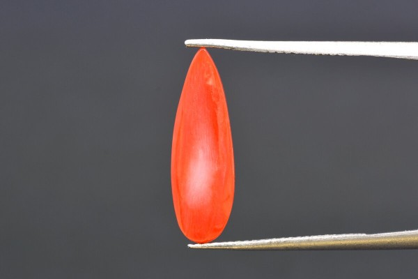 3.57 cts Natural Coral (Moonga)