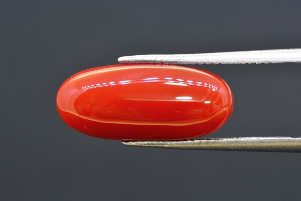 7.60 cts Natural Coral (Moonga)