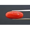 7.60 cts Natural Coral (Moonga)