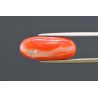 7.60 cts Natural Coral (Moonga)
