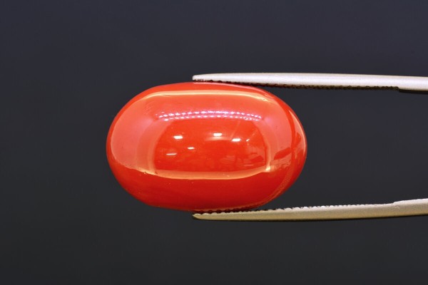 16.74 cts Natural Coral (Moonga)