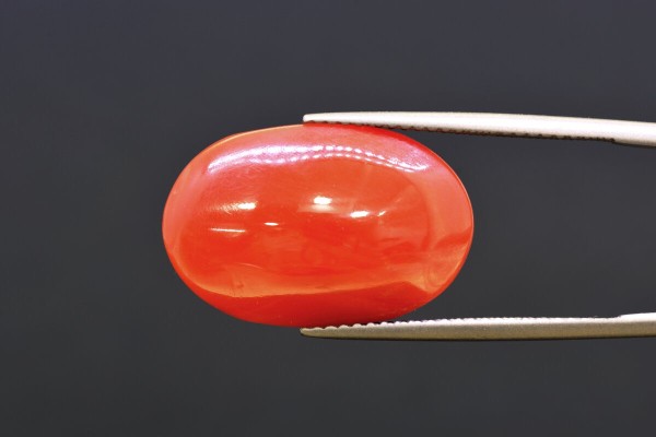 16.74 cts Natural Coral (Moonga)