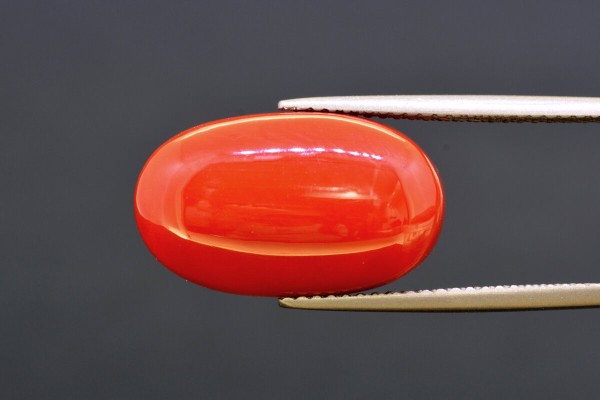 13.34 cts Natural Coral (Moonga)