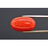 13.34 cts Natural Coral (Moonga)