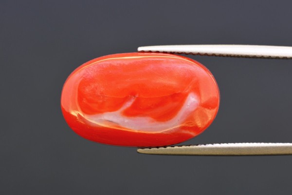 13.34 cts Natural Coral (Moonga)