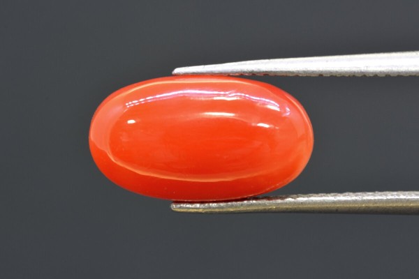 6.01 cts Natural Coral (Moonga)