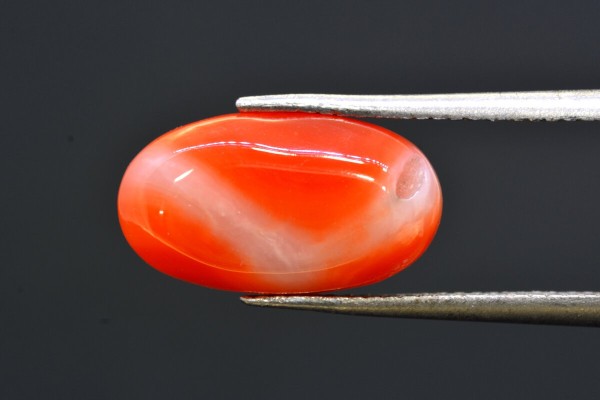 6.01 cts Natural Coral (Moonga)