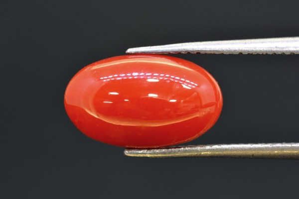 3.90 cts Natural Coral (Moonga)
