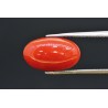 3.90 cts Natural Coral (Moonga)