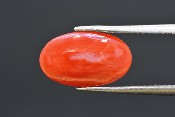 3.90 cts Natural Coral (Moonga)