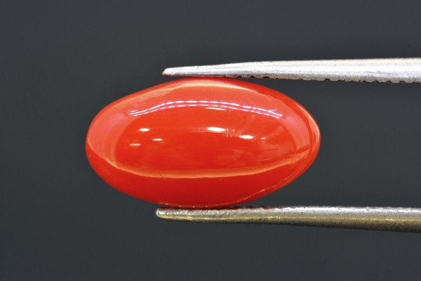 4.47 cts Natural Coral (Moonga)