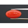 4.47 cts Natural Coral (Moonga)