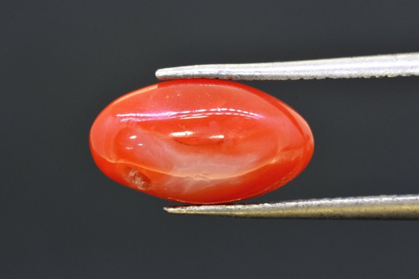 4.47 cts Natural Coral (Moonga)