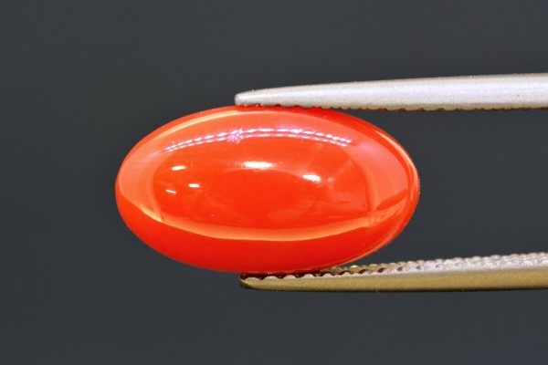 3.68 cts Natural Coral (Moonga)