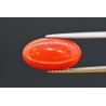 3.68 cts Natural Coral (Moonga)