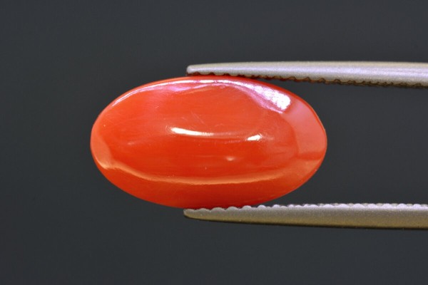 3.68 cts Natural Coral (Moonga)