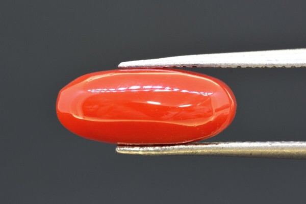 3.93 cts Natural Coral (Moonga)