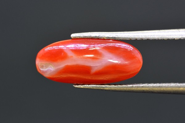 3.93 cts Natural Coral (Moonga)