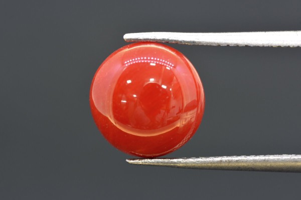 4.25 cts Natural Coral (Moonga)