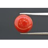 4.25 cts Natural Coral (Moonga)